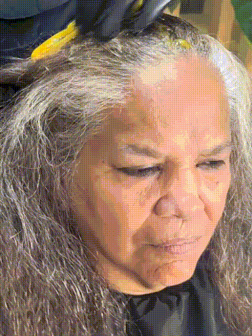 Hair Dye - Shampoo Tinte